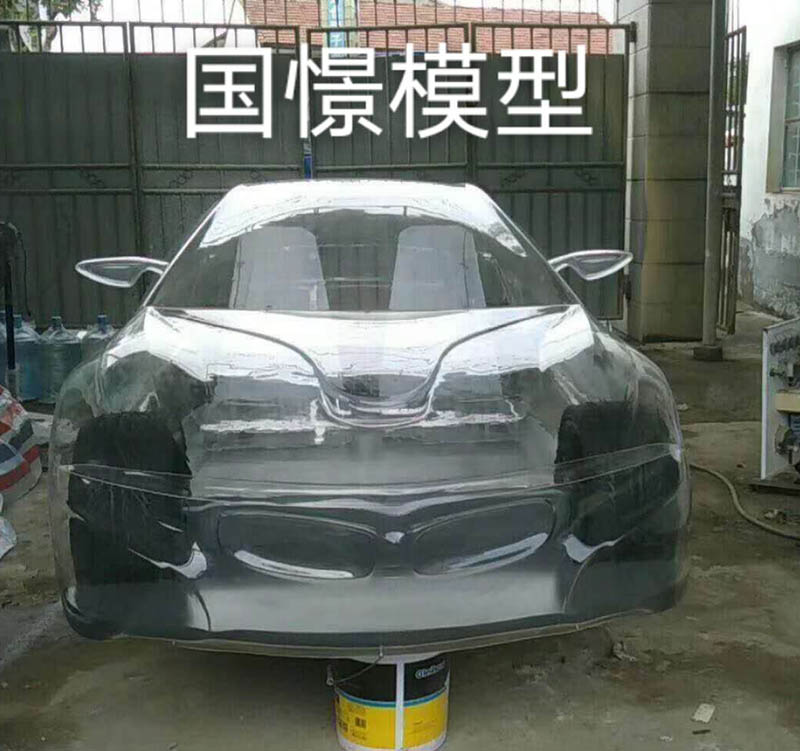 台江县透明车模型